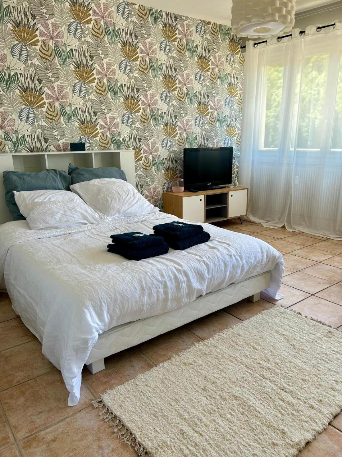 Studio Cosy De 30 M2 Au Coeur Des Thermes 鲁瓦亚 外观 照片